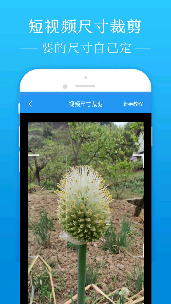 图片[2]-去水印吧 v2.1.9 解锁VIP会员版-好料空间