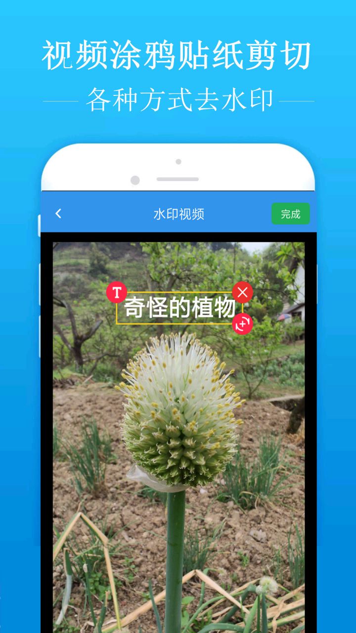 图片[3]-去水印吧 v2.1.9 解锁VIP会员版-好料空间
