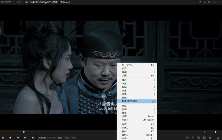 图片[2]-РotРlayer影音播放器-去广告绿色版美化增强版（v1.7.23123）-好料空间