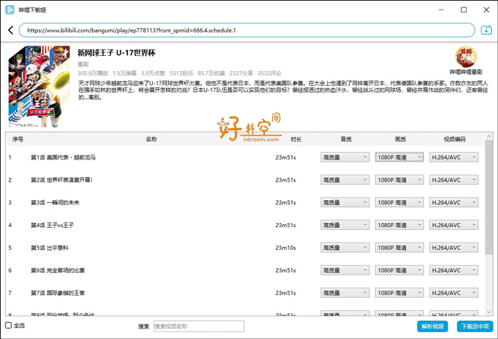 图片[2]-DownKyi哔哩下载姬-B站视频高清下载工具 v1.6.1-好料空间