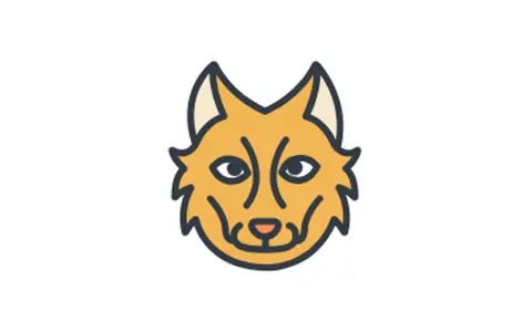 元萝卜-免root使用框架模块&应用多开&虚拟机 v1.0.29-好料空间