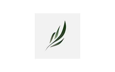 东南小说-免费追书-去广告纯净版（v2.0.7）-好料空间